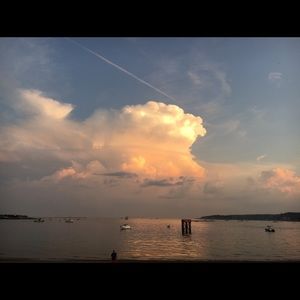 Meet your Posher, Naomi